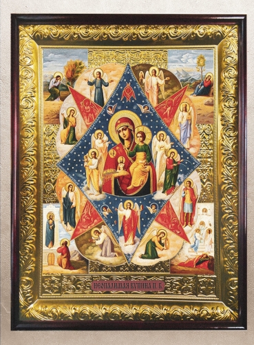 Неопалимая Купина ИБМ